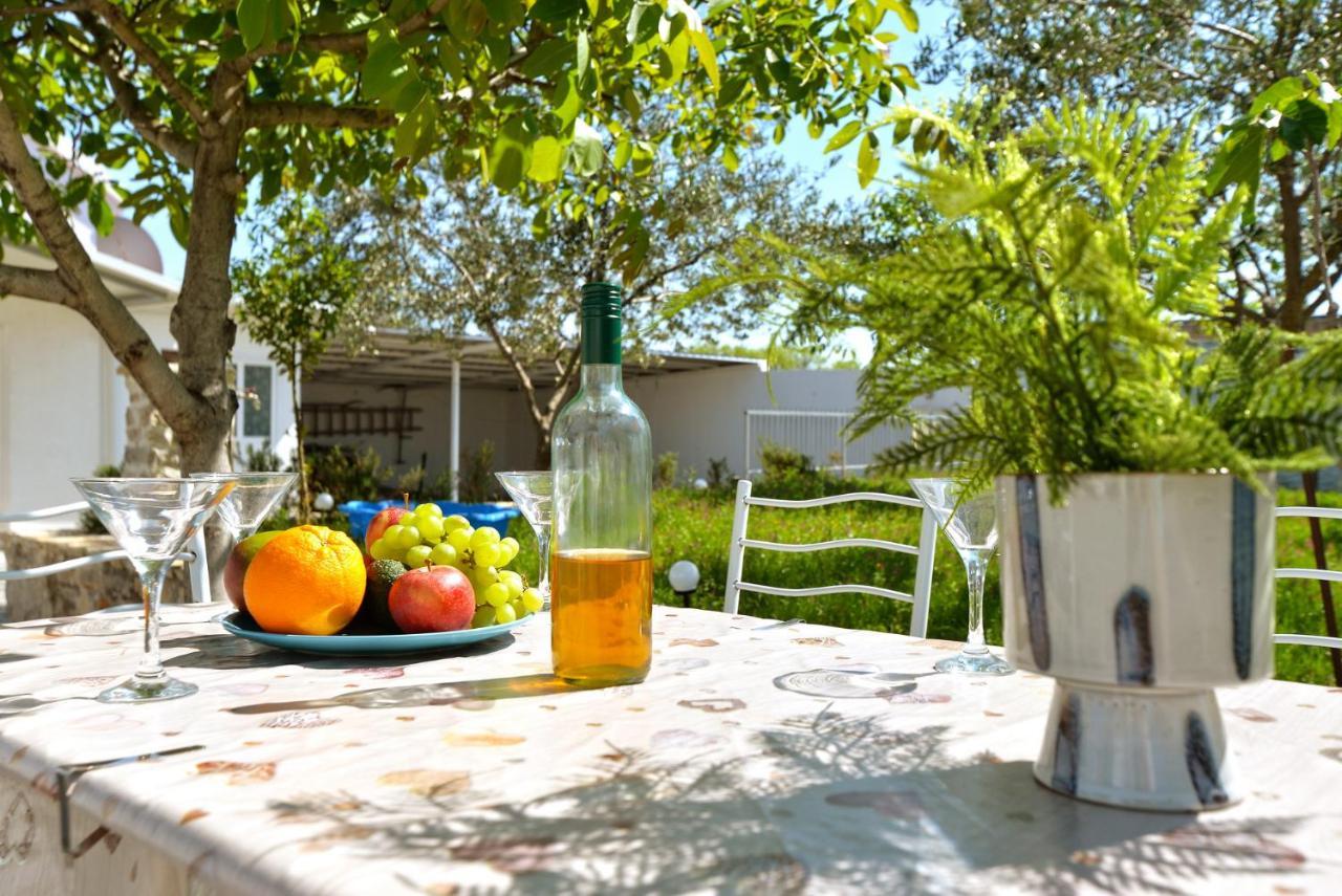 House Vidamo - Vacation Home With Swimming Pool Mala Cista Екстер'єр фото